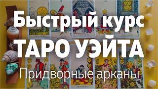 Быстрый Курс Таро Уэйта. Придворные Арканы. Значения арканов | Школа Таро Леры Йови