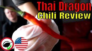 Chili Reviews - Thai Dragon VS Scotch Bonnet