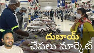 Waterfront market Dubai || Fish market Dubai 2021 || Travel with Ranjit || Telugu vlogs Dubai