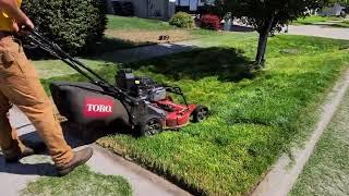 Neighbors Were ASHAMED Of This Yard... Until We Transformed It For FREE