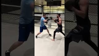 Top 5 boxing training   