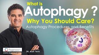 What is Autophagy and Why You Should Care? Autophagy Procedures and Benefits