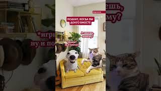 А как хорошо начиналось...