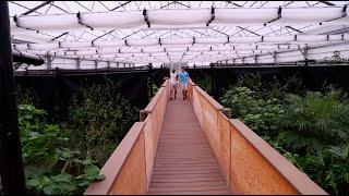 Best Crocodile Greenhouse Ever! Kamp Kenan S3 Episode 22
