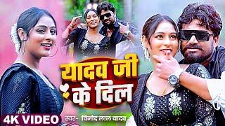 #रंगदारी - यादव जी के दिल | #Vinod Lal Yadav | Yadav Ji Ke Dil | Bhojpuri Song 2024