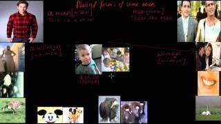 Plural forms of some nouns