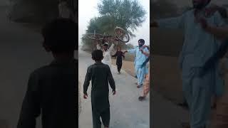 irfan12/wb.vehari