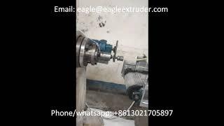 jinan eagle pet dog treats extruder processing line