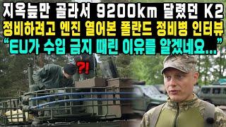 지옥늪만 골라서 9200km 달렸던 K2정비하려고 엔진 열어본 폴란드 정비병 인터뷰 “EU가 수입 금지 때린 이유를 알겠네요...”