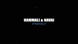 HammAli  Navai  Птичка 1080p