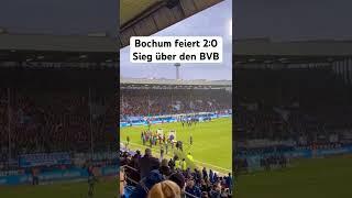 VfL Bochum feiert mit Fans 2:0 Sieg über Borussia Dortmund #bvb #bvb09 #bochum #dfb #choreo