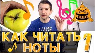 Как читать ноты? Нотная грамота для начинающих. Часть 1