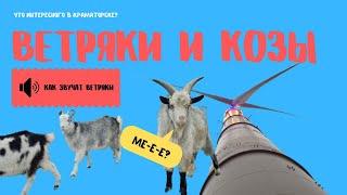 Пешком на ветряки зимой: что интересного в Краматорске | The Мандри