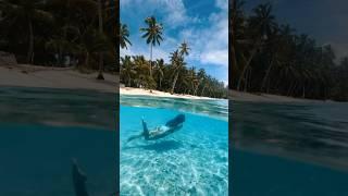 Mentawai Islands Indonesia Video filter: Orange & Teal #tropical #island #beautifulnature #ocean