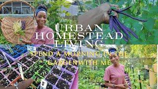 VLOG | Urban Homestead Living | Weekend Updates | Bean Harvest | A Morning in the Garden