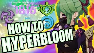 Genshin's BEST F2P Team is HYPERBLOOM! 2024 GUIDE