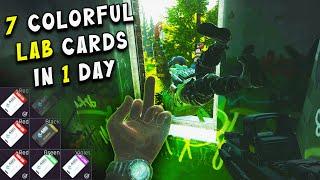 7 Colorful Lab Cards in 1 Day - OLD TARKOV IS BACK