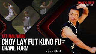 Choy Lay Fut Kung Fu - (Vol 4): Crane Form with Instructor Tat-Mau Wong | Black Belt Magazine