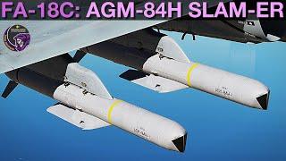 FA-18C Hornet: AGM-84H SLAM-ER (PP/TOO)(Single/Ripple) Tutorial | DCS WORLD