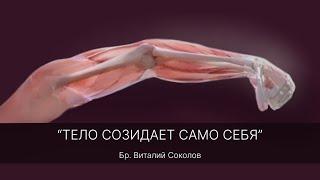 2024.06.02 "ТЕЛО СОЗИДАЕТ САМО СЕБЯ" бр. Виталий Соколов