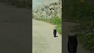 따라오지마