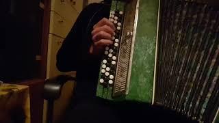 ACCORDION "MOLODECHNO 2" TEST ***SOLD***