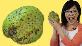 SOURSOP Fruit | Fruity Fruit Taste Test