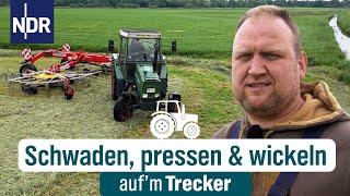 Mirko gibt Vollgas: Grasernte retten vor den Regenmassen | Auf'm Trecker Folge 36 | NDR