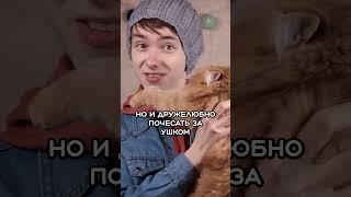 Перформанс - это НЕ только ТРЭШ #shorts #перформанс #театр