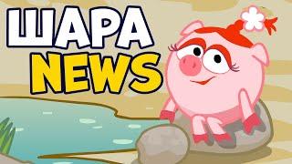 ШараNews | БЕЗОПАСНАЯ ВОДА!
