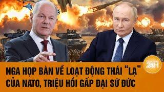 Thời sự quốc tế 25/10: Nga họp bàn về loạt động thái “lạ” của NATO, triệu hồi gấp đại sứ Đức