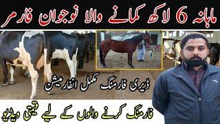 Dairy Farming Information And Discussion | How To Start Dairy Farming In Pakistan | Open Farming