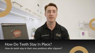 How Do Teeth Stay In Place? | The Good Dentist 