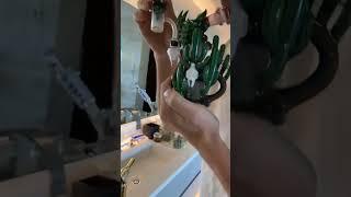 Dan Bilzerian Life