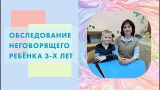 Обследование неговорящего ребёнка 3-х лет. (ОНР I уровня)