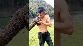 Bees attack on humans #viral #youtubeshorts #like #amazing #shorts #bees #honeybee
