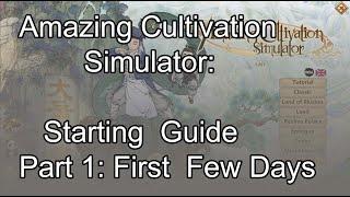 Amazing Cultivation Simulator | FULL Starting Guide| Part 1