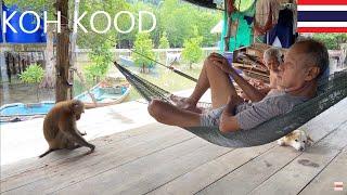 【4K】Take a look in the houses of the locals in Koh Kood island l Walking Tour l Thailand