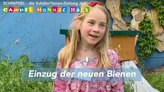 Einzug der neuen Bienen am Campus Hannah Höch