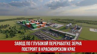 Завод по глубокой переработке зерна построят в Красноярском Крае