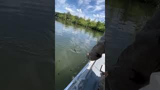 Рыбалка на щуку на реке Сердоба #рыбалка #fishing #щука #рыбалканащуку