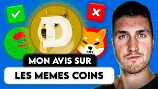 Mon avis sur les “Memes” Coins + Comment Choisir les meilleures cryptos !