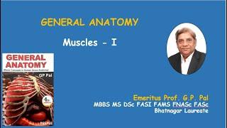 17. Muscles Part-I (General Anatomy)