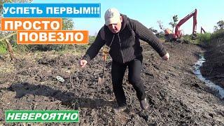 Это офигенная ВЕЗУХА! Неееет!!! ЭТО ЧУТЬЕ на КЛАДЫ! СОВПАЛО ВСЕ! ЭКСКАВАТОР ПОМОГ ВЫКОПАТЬ СЕРЕБРО!