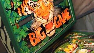 1980 Stern BIG GAME pinball machine