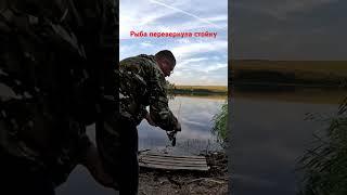 Рыба перевернула стойку. #точкаотдыха64 #рыбалка #палатка #fishing