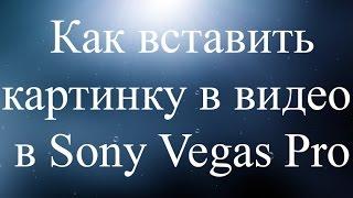 Как вставить картинку в видео в Sony Vegas Pro