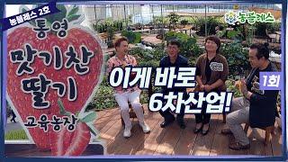 [농블레스-맛기찬딸기농장1] 농업농촌의 노블레스, 농블레스! 이번 시간부터 농블레스 2호 대한민국 대표 농촌교육농장 경남 통영의  '맛기찬딸기농장'을 찾아갑니다~