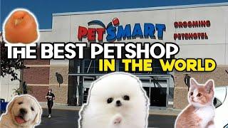 PETSMART City of Industry • THE BEST Pet store in the WORLD