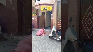 kya sas ko isliye intzar krti h? #shorts #funny #sasural